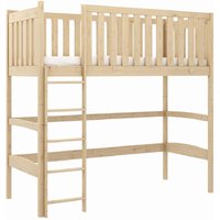 Lititz Wooden Bunk Bed With Foam Mattress And Ladder In Pine